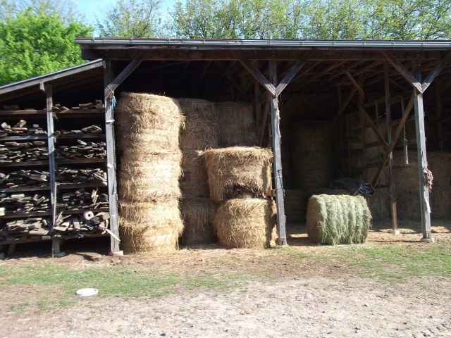 The hay barn. Last year's hay on the left, the first bale from this year on the right.  